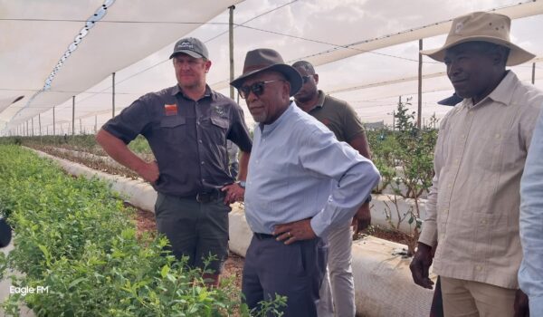 Mbumba Urges Farmers to Work Harder on Food Production