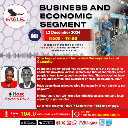 BUSINESS AND ECONOMIC SEGMENT WITH DAVID AND KAVEE (12 DECEMBER 2024)