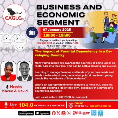 BUSINESS AND ECONOMIC SEGMENT WITH DAVID AND KAVEE (7 JANUARY 2025)