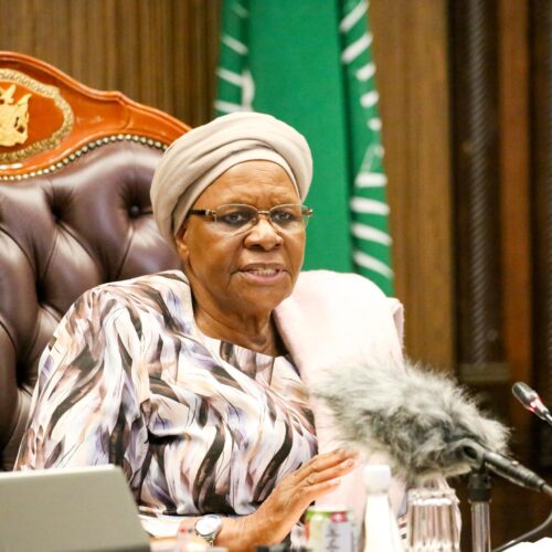 STATE OF NATION ADDRESS (24 APRIL 2025)