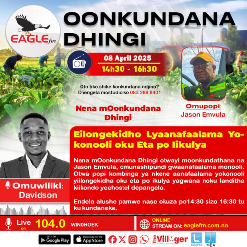 ONKUNDANA DHINGI PAMWE NA DAVID (8 APRIL 2025)