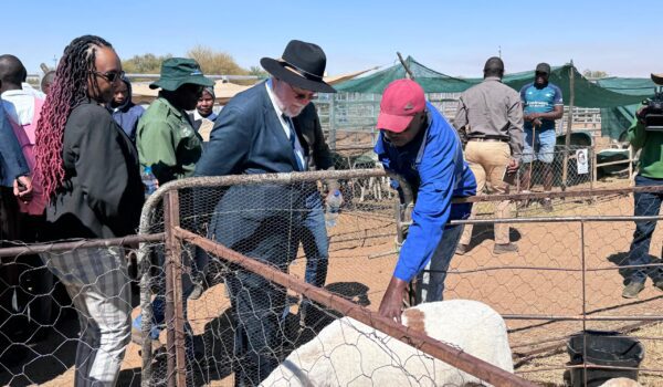 Communal Farmers Can Match Commercial Productivity if Well Coordinated – Schlettwein