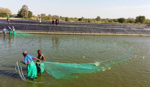 Namibians Urged to Invest in Aquaculture